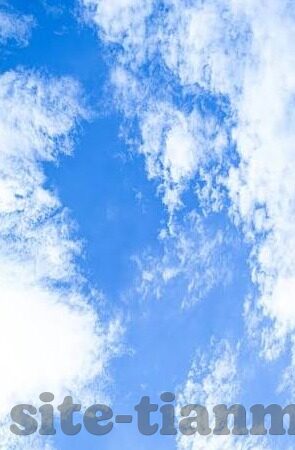 成人视频电影网-成人视频电影网，信息时代的隐秘角落与伦理边界