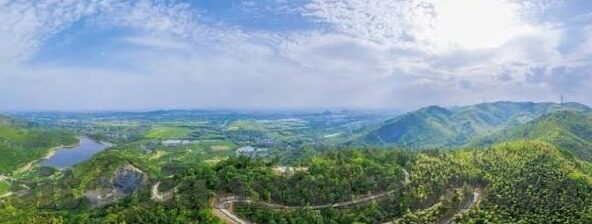 大象传媒可靠吗-探寻大象传媒的可靠性，在信息洪流中的坚实基石