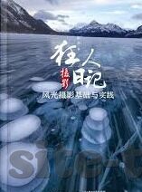 大象视频app最新版-探索大象视频APP最新版，重塑娱乐体验的革新力量