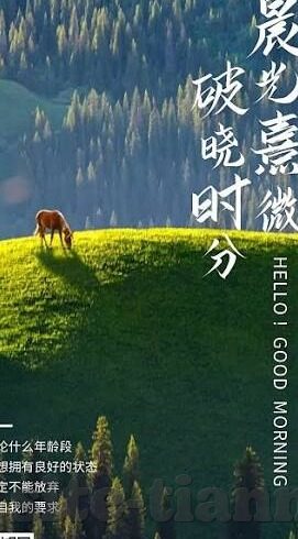 麻豆91精品91久久久的优点-麻豆91精品91的独特魅力，一部解锁影音享受的完美选择